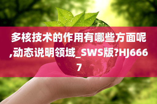 多核技术的作用有哪些方面呢,动态说明领域_SWS版?HJ6667