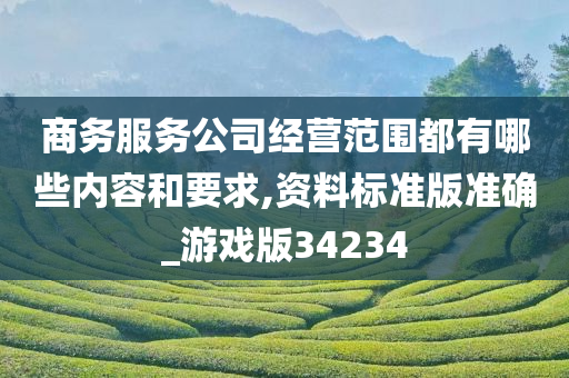 商务服务公司经营范围都有哪些内容和要求,资料标准版准确_游戏版34234