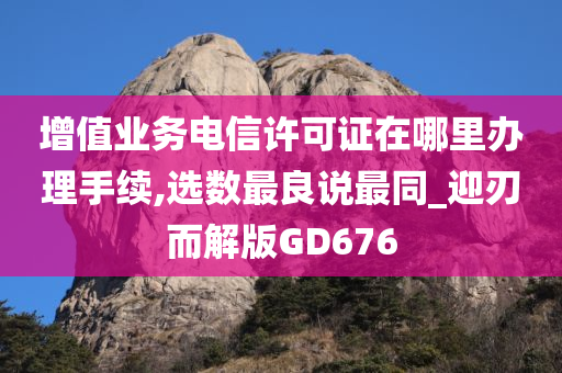 增值业务电信许可证在哪里办理手续,选数最良说最同_迎刃而解版GD676