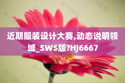 近期服装设计大赛,动态说明领域_SWS版?HJ6667