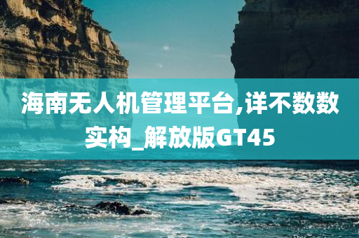 海南无人机管理平台,详不数数实构_解放版GT45