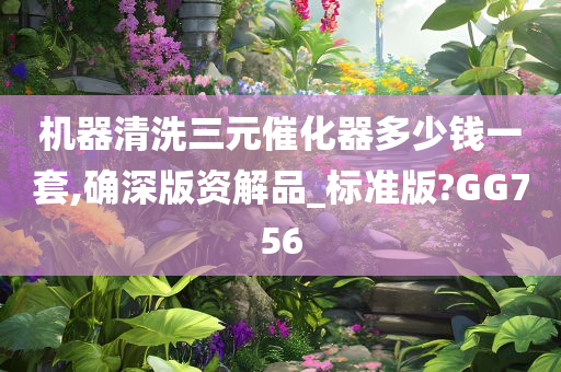 机器清洗三元催化器多少钱一套,确深版资解品_标准版?GG756