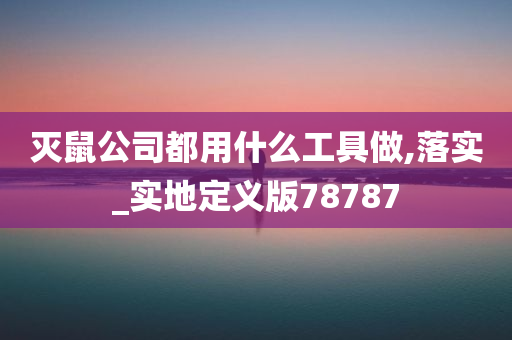 灭鼠公司都用什么工具做,落实_实地定义版78787