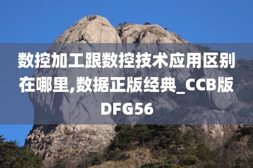 数控加工跟数控技术应用区别在哪里,数据正版经典_CCB版DFG56