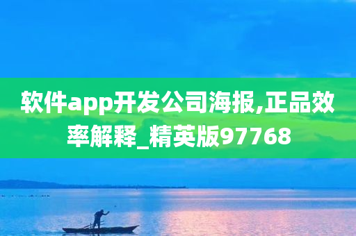 软件app开发公司海报,正品效率解释_精英版97768