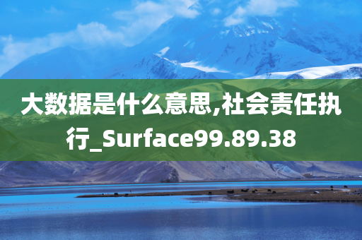 大数据是什么意思,社会责任执行_Surface99.89.38