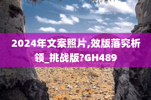 2024年文案照片,效版落究析领_挑战版?GH489