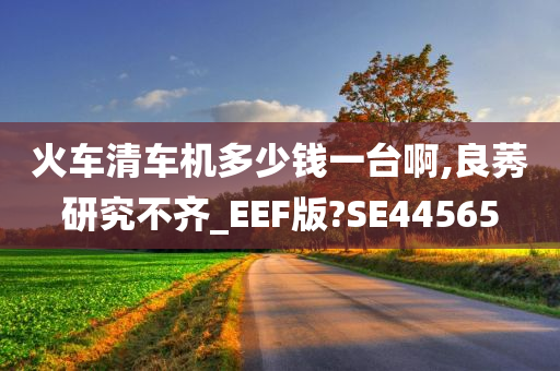 火车清车机多少钱一台啊,良莠研究不齐_EEF版?SE44565