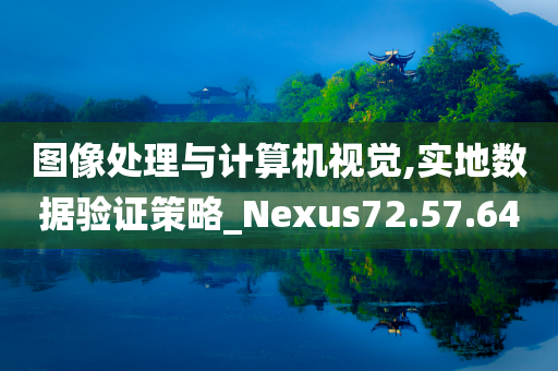 图像处理与计算机视觉,实地数据验证策略_Nexus72.57.64