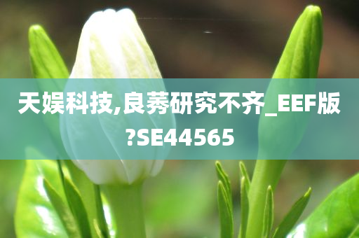 天娱科技,良莠研究不齐_EEF版?SE44565