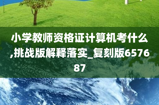 小学教师资格证计算机考什么,挑战版解释落实_复刻版657687