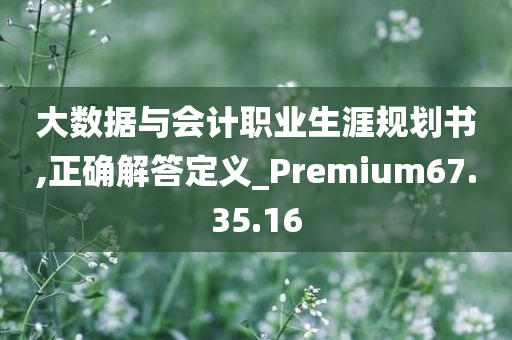 大数据与会计职业生涯规划书,正确解答定义_Premium67.35.16