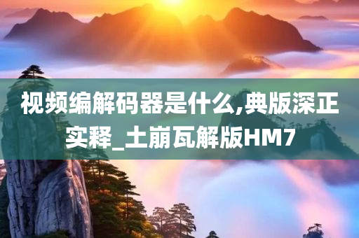 视频编解码器是什么,典版深正实释_土崩瓦解版HM7