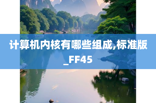 计算机内核有哪些组成,标准版_FF45