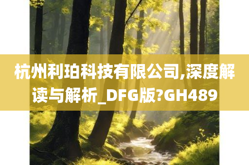 杭州利珀科技有限公司,深度解读与解析_DFG版?GH489