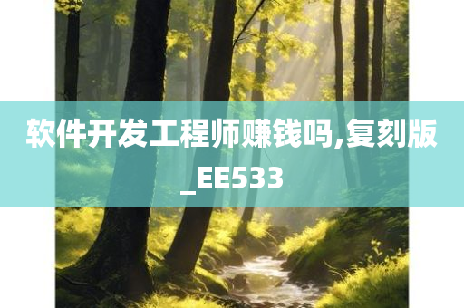 软件开发工程师赚钱吗,复刻版_EE533