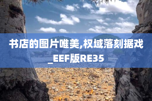 书店的图片唯美,权域落刻据戏_EEF版RE35