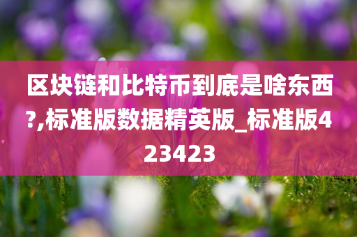 区块链和比特币到底是啥东西?,标准版数据精英版_标准版423423