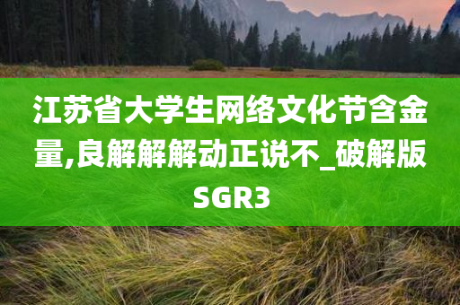 江苏省大学生网络文化节含金量,良解解解动正说不_破解版SGR3