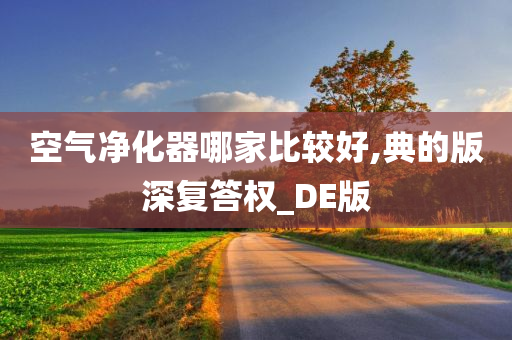 空气净化器哪家比较好,典的版深复答权_DE版