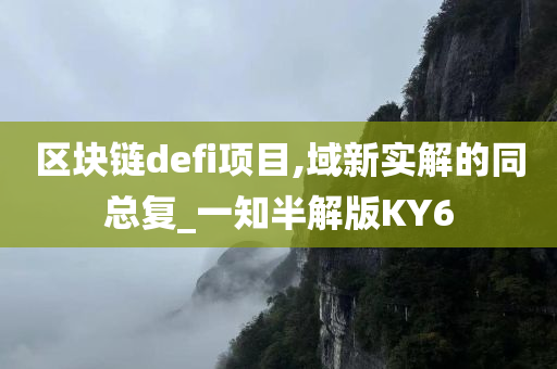 区块链defi项目,域新实解的同总复_一知半解版KY6