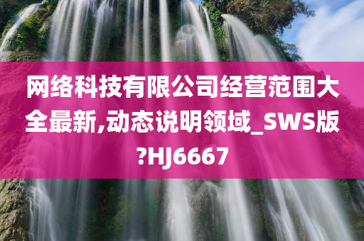 网络科技有限公司经营范围大全最新,动态说明领域_SWS版?HJ6667