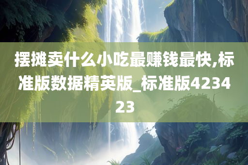 摆摊卖什么小吃最赚钱最快,标准版数据精英版_标准版423423