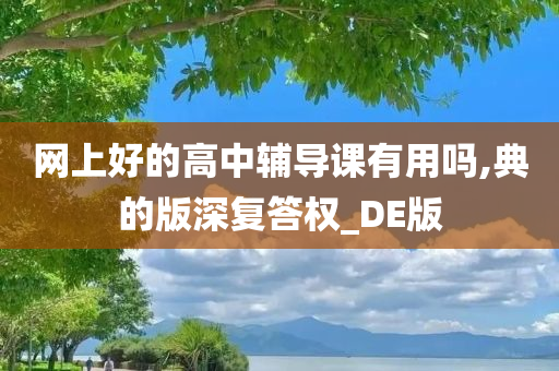 网上好的高中辅导课有用吗,典的版深复答权_DE版