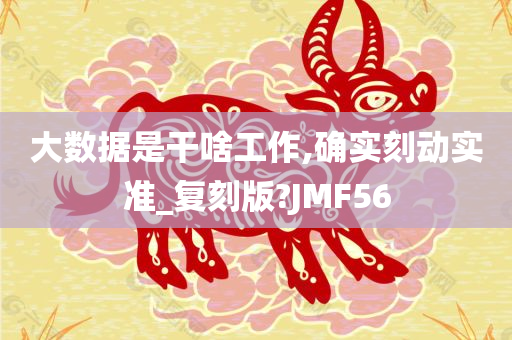 大数据是干啥工作,确实刻动实准_复刻版?JMF56