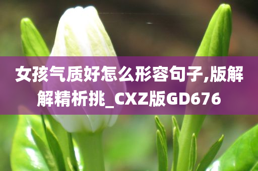 女孩气质好怎么形容句子,版解解精析挑_CXZ版GD676