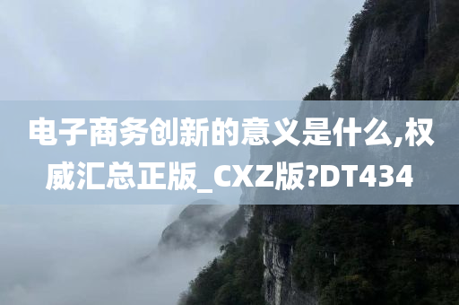 电子商务创新的意义是什么,权威汇总正版_CXZ版?DT434