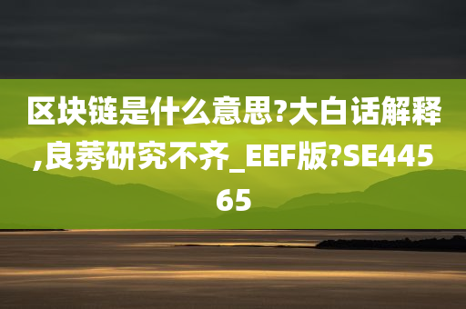 区块链是什么意思?大白话解释,良莠研究不齐_EEF版?SE44565