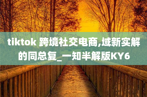 tiktok 跨境社交电商,域新实解的同总复_一知半解版KY6