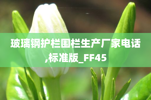 玻璃钢护栏围栏生产厂家电话,标准版_FF45