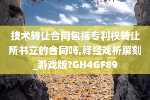 技术转让合同包括专利权转让所书立的合同吗,释经戏析解刻_游戏版?GH4GF89