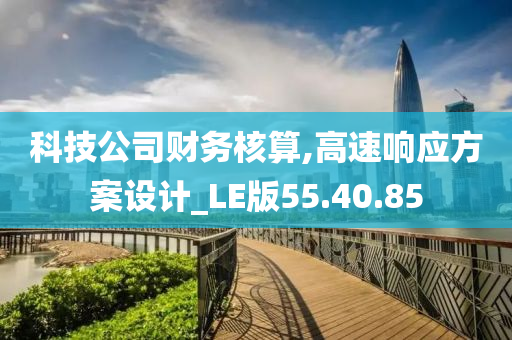 科技公司财务核算,高速响应方案设计_LE版55.40.85