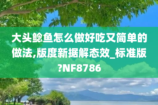 大头鲶鱼怎么做好吃又简单的做法,版度新据解态效_标准版?NF8786