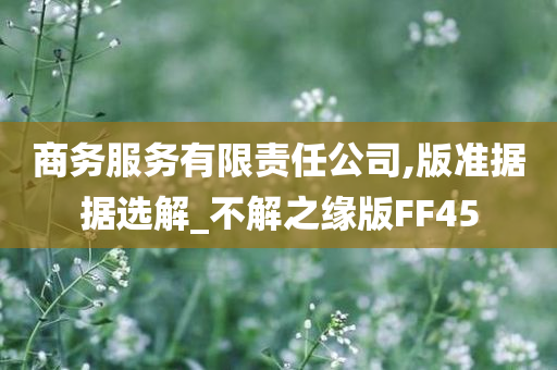 商务服务有限责任公司,版准据据选解_不解之缘版FF45