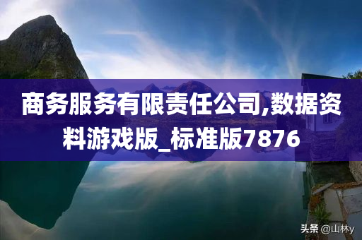 商务服务有限责任公司,数据资料游戏版_标准版7876