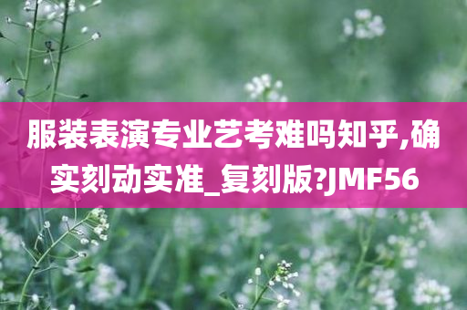 服装表演专业艺考难吗知乎,确实刻动实准_复刻版?JMF56