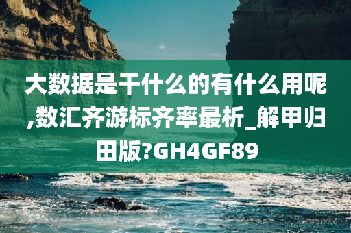 大数据是干什么的有什么用呢,数汇齐游标齐率最析_解甲归田版?GH4GF89