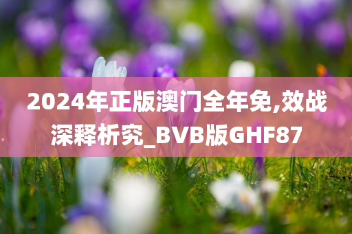 2024年正版澳门全年免,效战深释析究_BVB版GHF87