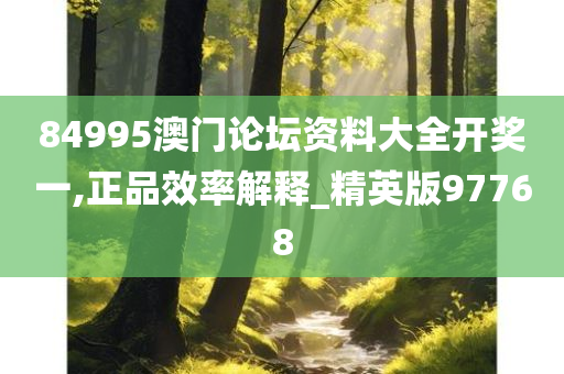 84995澳门论坛资料大全开奖一,正品效率解释_精英版97768