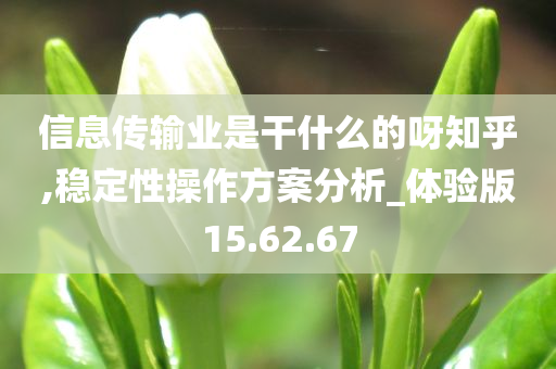 信息传输业是干什么的呀知乎,稳定性操作方案分析_体验版15.62.67