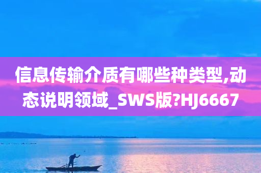 信息传输介质有哪些种类型,动态说明领域_SWS版?HJ6667