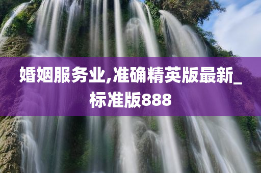 婚姻服务业,准确精英版最新_标准版888