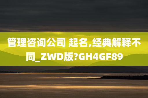 管理咨询公司 起名,经典解释不同_ZWD版?GH4GF89