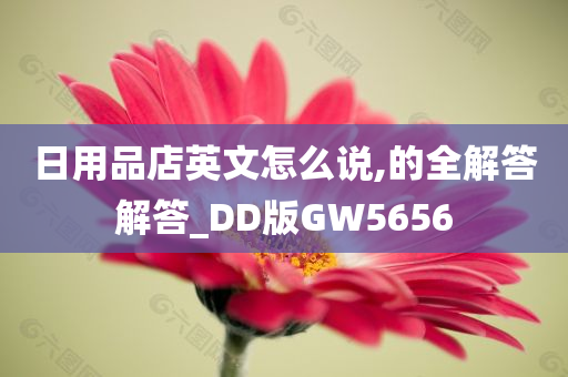 日用品店英文怎么说,的全解答解答_DD版GW5656