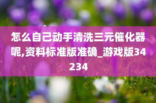 怎么自己动手清洗三元催化器呢,资料标准版准确_游戏版34234