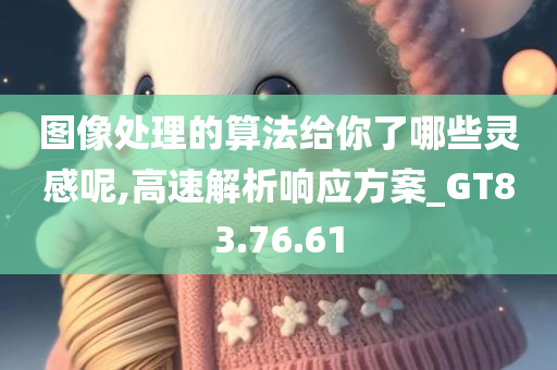 图像处理的算法给你了哪些灵感呢,高速解析响应方案_GT83.76.61